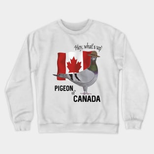 Pigeon of Canada Greeting Crewneck Sweatshirt